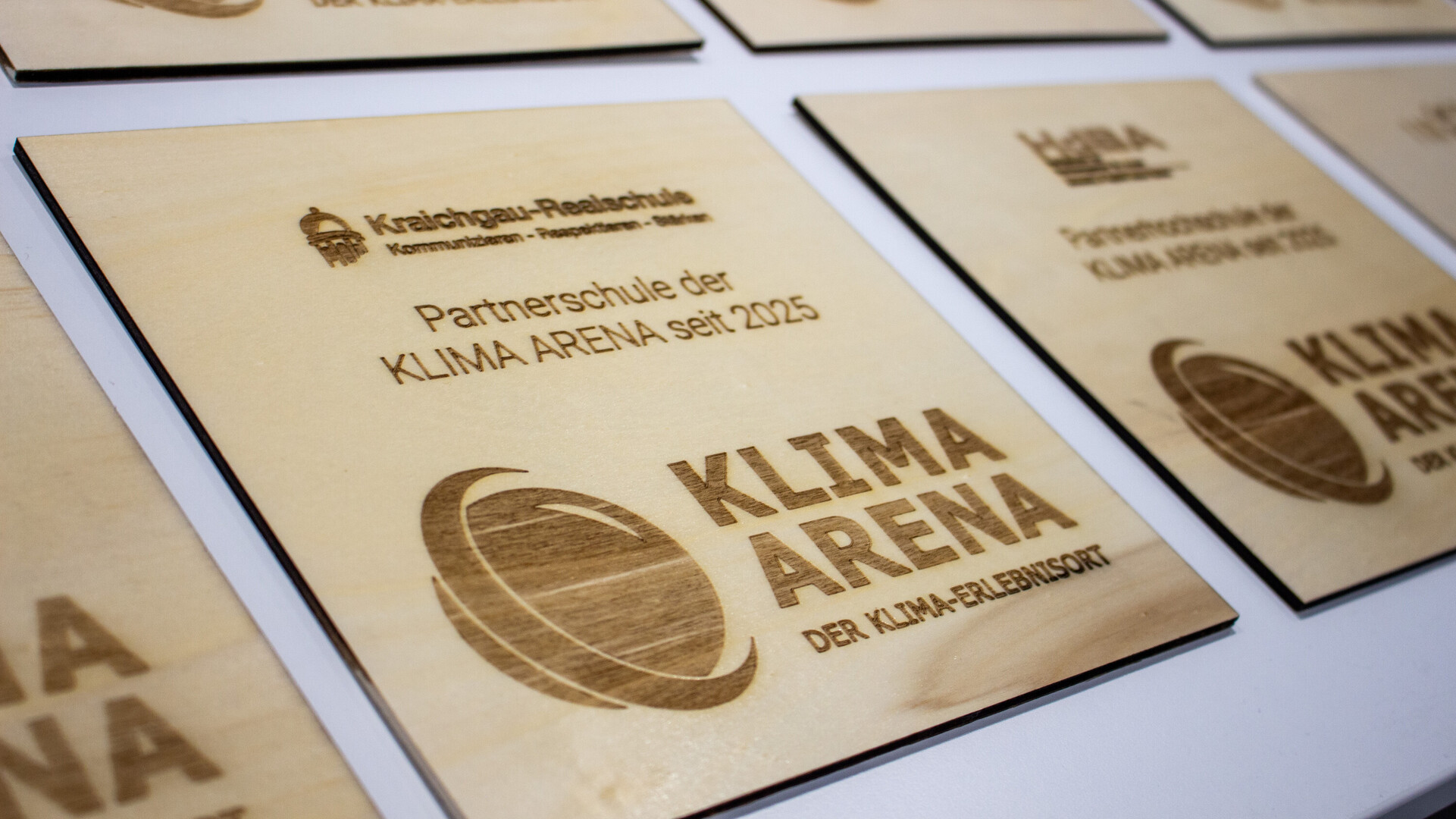 Holzplatten f&uuml;r Partnerschulen der KLIMA ARENA.